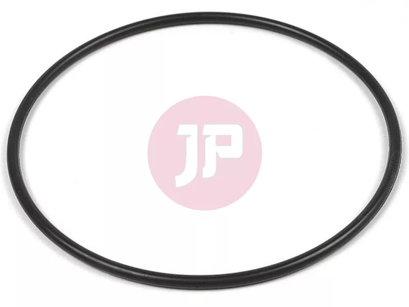 Wheel Bearing O-Ring