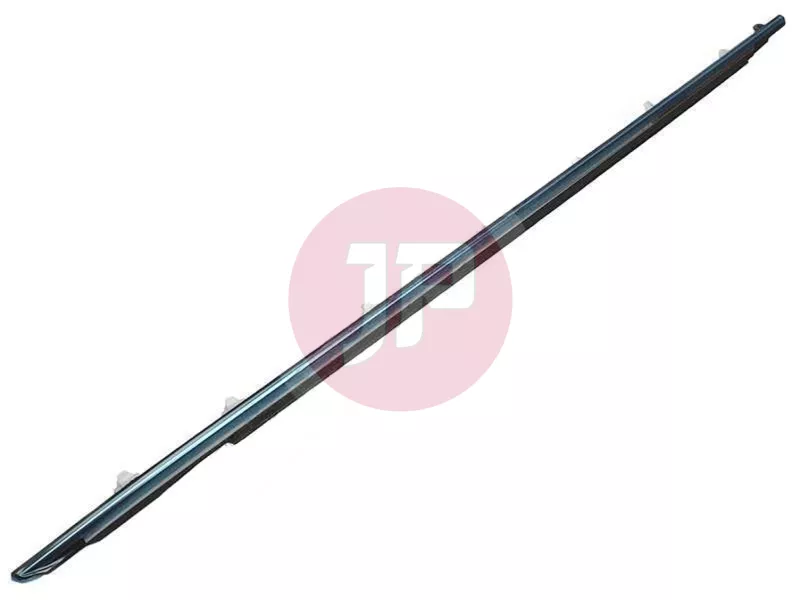 MOULDING ASSY,