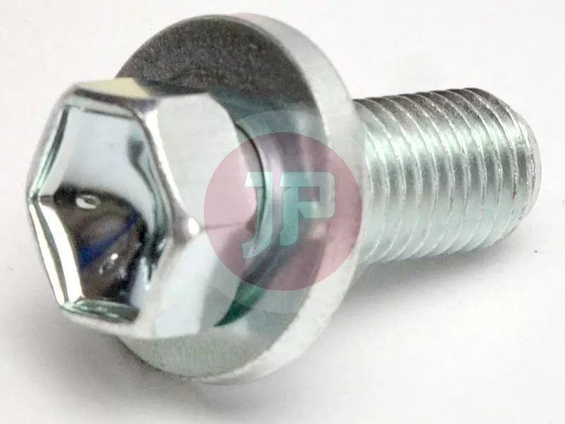 BOLT, W/WASHER
