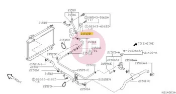 NISSAN 01241-00173 - Sheet Metal Nut