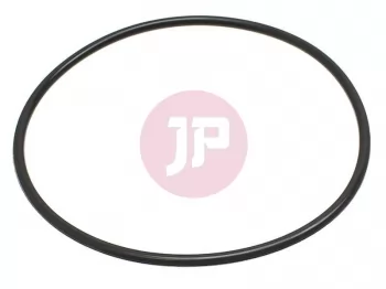 NISSAN 17342-01A00 - O RING F/GAUG99