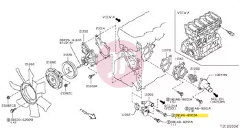 NISSAN 081A6-8901A - Hatlapfejű karimás csavar