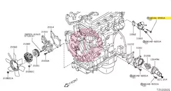 NISSAN 081A6-8901A - Hatlapfejű karimás csavar