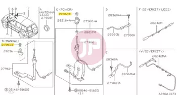 NISSAN 28219-50Y05 - NUT