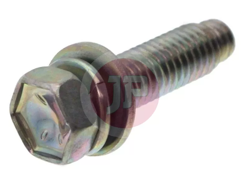 BOLT, W/WASHER