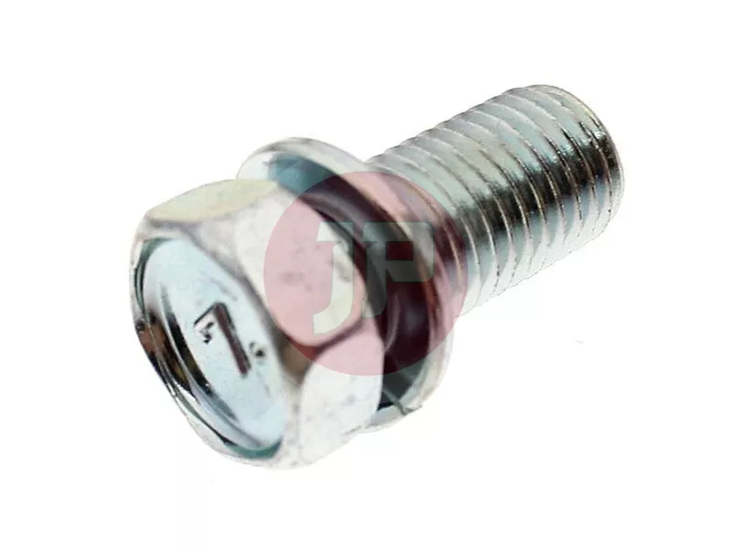 BOLT, W/WASHER