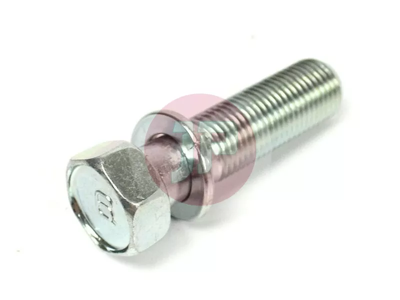 Bolt with Washer