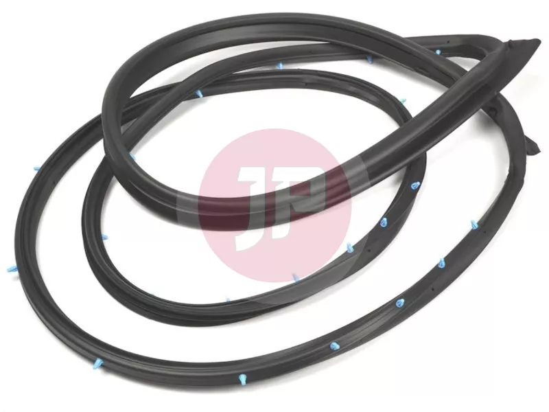 WSTRIP ASSY-FR