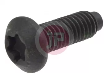 NISSAN 73898-1AA0A - Torx Roof Bolt